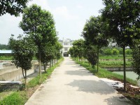 企業環境